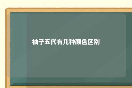 柚子五代有几种颜色区别