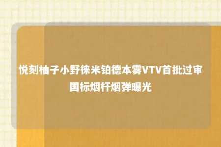 悦刻柚子小野徕米铂德本雾VTV首批过审国标烟杆烟弹曝光