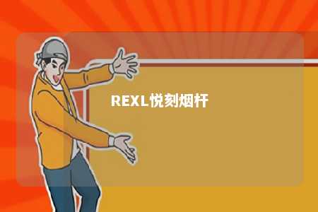 REXL悦刻烟杆